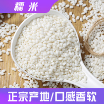 Farm round glutinous rice grains non-long glutinous rice short glutinous rice bun dumplings High quality white glutinous rice 500g full