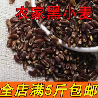 Black wheat rice Rye kernel porridge grain 500g 5kg can be made sprouted wheat purple wheat