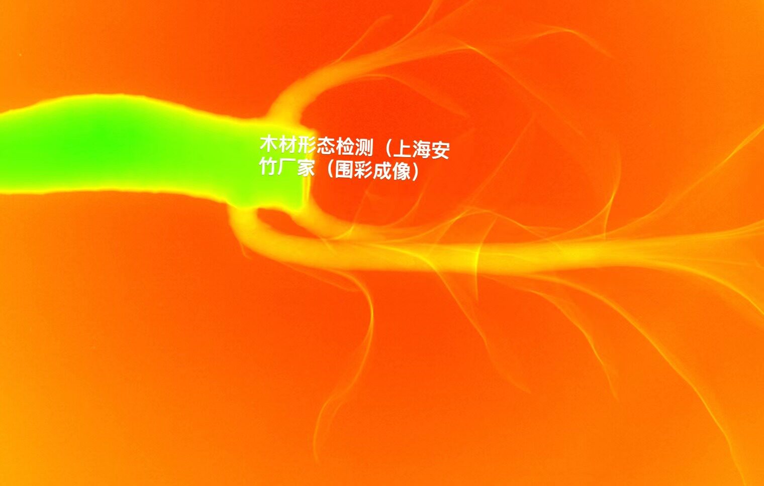 木材木制品虫洞检测 木材木制品空洞检测 树木结疤.木材形态检测