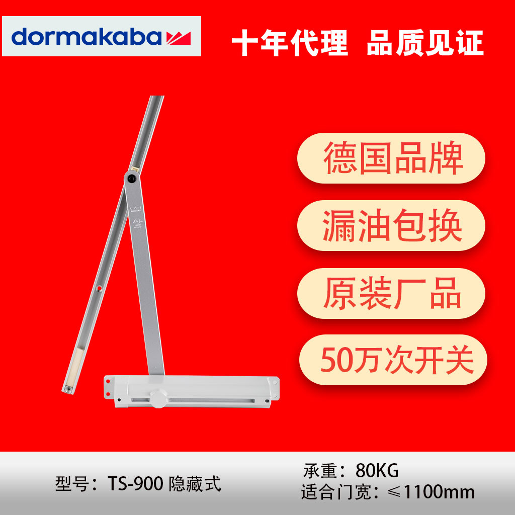Doma TS900 concealed door closer fireproof automatic door closer Hydraulic buffer closure