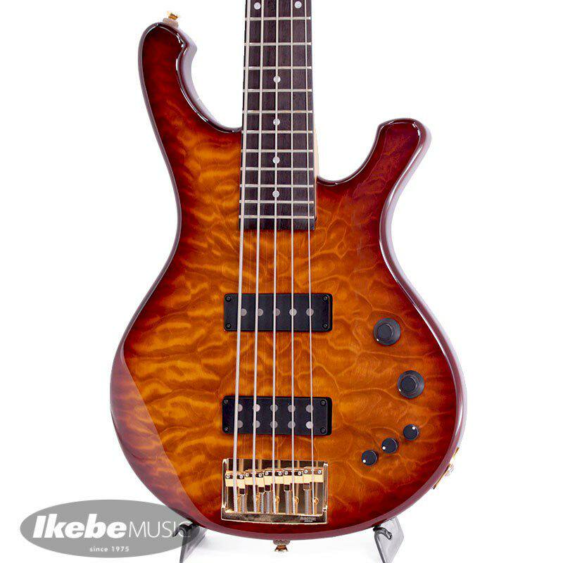 Japan Direct Mail Landscape LSB-205 5 String Active Electric Bass