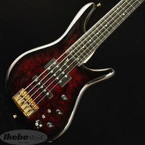 Japan Direct Post Sugi NB5E HJ BM-PRM H-MAHO GLR Nissan Handmade 5 String Electric Bed Division