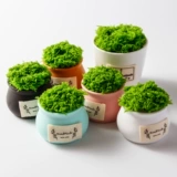 Маленький реалистичный крючок для вязания в форме цветка, зеленый пластиковый цветочный горшок для офиса, в цветочек, маленькая вазочка