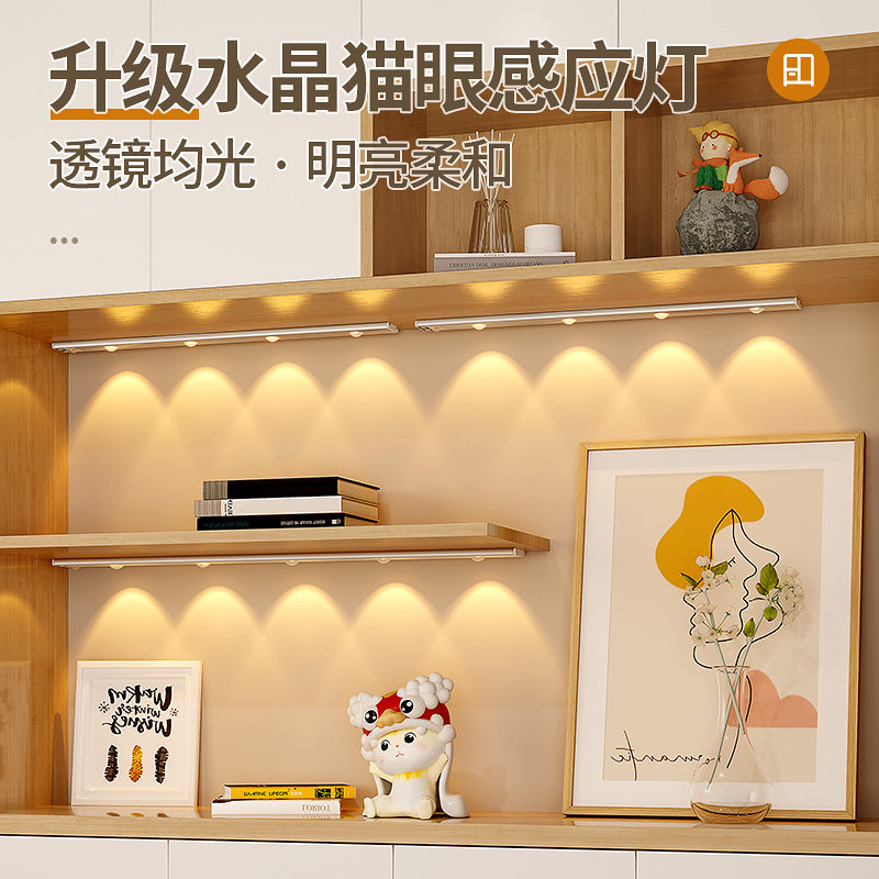 LED Cabinet Light With Rechargeable lamp strip Self-adhesive wireless Dormitory Wardrobe Subsuction Display Cabinet Bookcase Hanger-Taobao