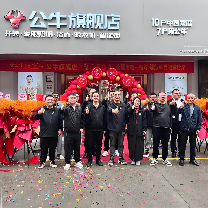 公牛牛装饰开关插座批发企业店
