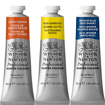 Import Windsor Newtonian watercolor pigments Artist Class Expert-level Series S1-S4 Single-branch 37ml