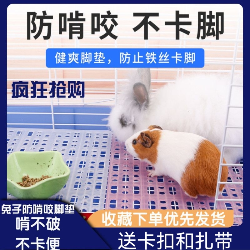 【Rabbit Gnawing Warranty】Foot Pad with Leak-Proof Board for Guinea Pigs, Chinchillas, and Hamsters - Cage Board to Prevent Foot Stuck, Pet Bottom Mat 【Rabbit Gnawing Warranty】Foot Pad with Leak-Proof Board for Guinea Pigs, Chinchillas, and Hamsters - Cage Board to Prevent Foot Stuck, Pet Bottom Mat