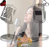 dp8 star same style retro fashion silver white gray computer live broadcast voice noise reduction card wired microphone microphone