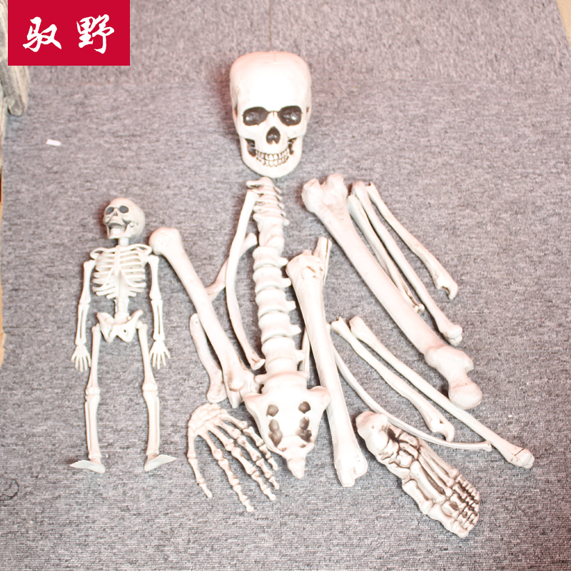 Halloween horror secret room props haunted house escape agency imitation human skeleton model bone skeleton tomb skeleton skeleton