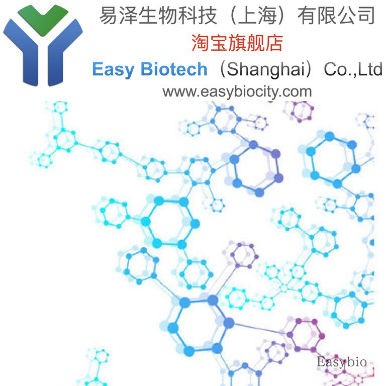 福林酚试剂（2N）蛋白质含量检测、酶活力测定  生物化学试剂