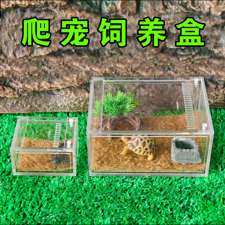 Acrylic Crawlworm Rearing Box Transparent Acrylic Reptile Case Spider centipede beetle beetle GuardianCoral frog and other climbing spotting boxes