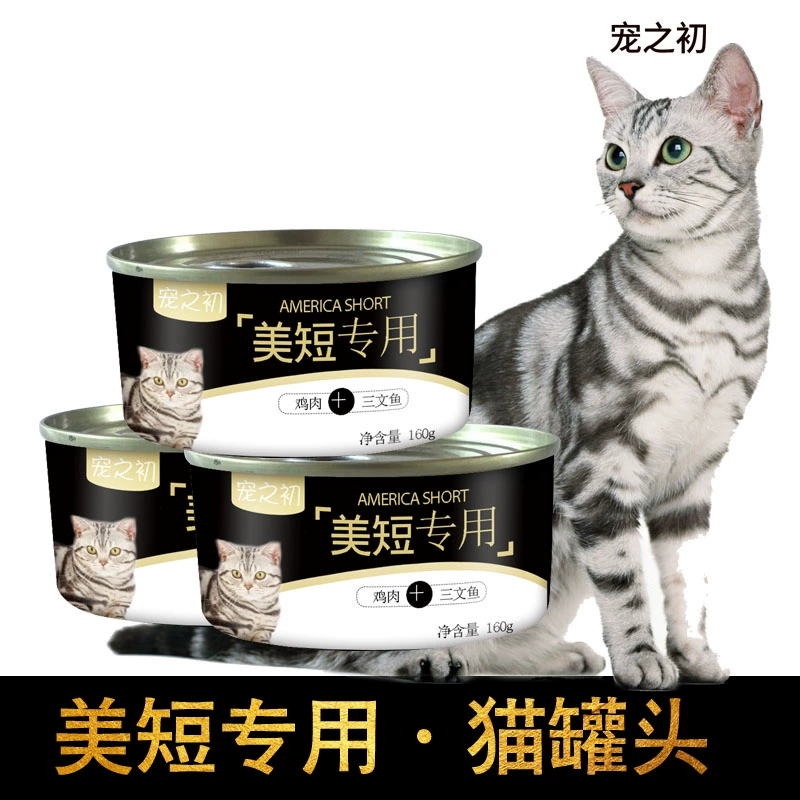 Lúc bắt đầu vuốt ve mèo ngắn xinh đẹp đặc biệt đóng hộp mèo Mỹ shorthair mèo trưởng thành mèo con mèo mướp tabby mèo đẹp tóc snack jar - Đồ ăn nhẹ cho mèo