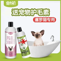 В начале специального животного для душевого геля Siamse Cat Geal, молодой котенок, молодого кота, тайского кота, кукол стерилизации стерилизации, стерилизация стерилизации кукол.
