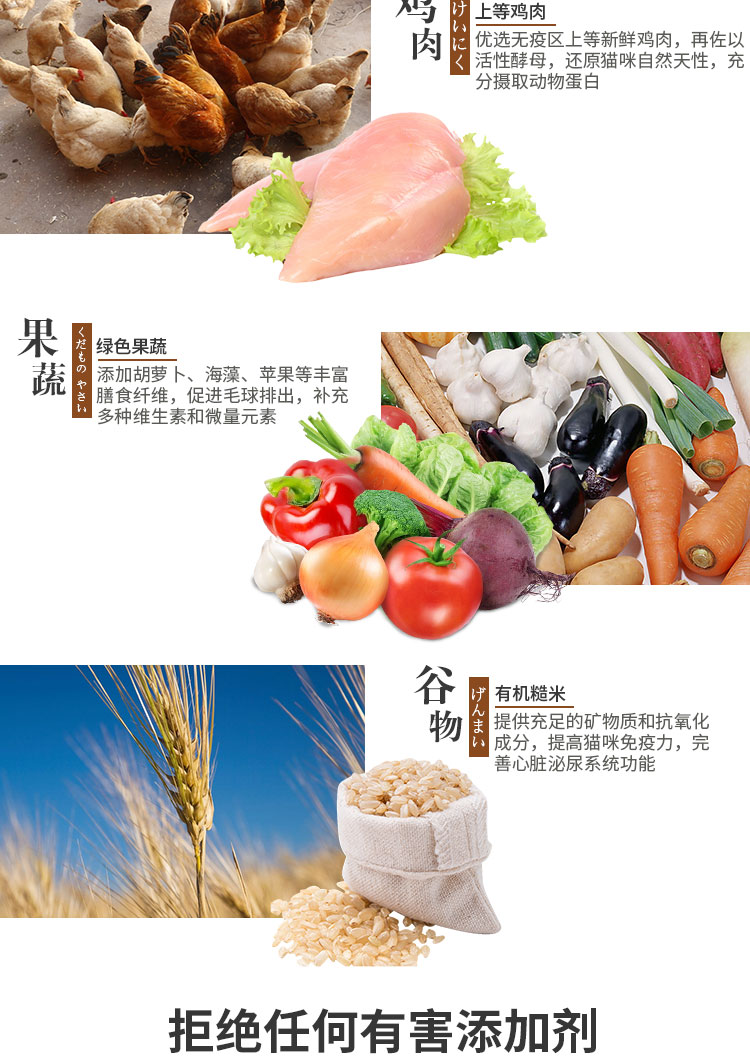 Mèo Maine đặc biệt thức ăn cho mèo vật nuôi mèo sớm vào mèo nhỏ 1,5kg thức ăn chủ yếu tự nhiên đẹp bóng lông bờm sáng nên cho mèo ăn cơm hay ăn hạt