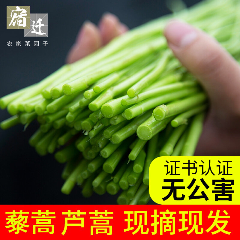 Hedgerows 3 kg to remove roots and leaves In the season, artemisia reed fresh artemisia vulgar vegetables wild vegetables quinoa artemisia fresh tender mud artemisia artemisia