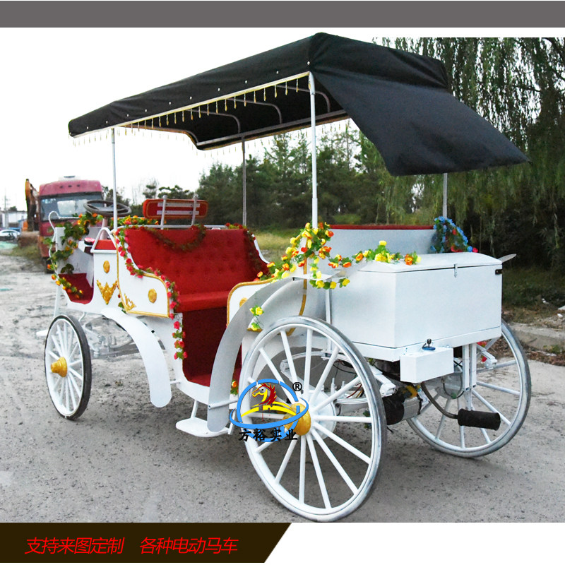 Eurostyle Royal Wagyu Wedding Photography Sightseeing Tour Wagyu Building Trays Display electric Eurostyle wagons