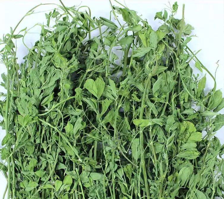 21-year-old new grass Alfalfa forage Chinchilla Rabbit Guinea pig forage feed gross weight 1 kg