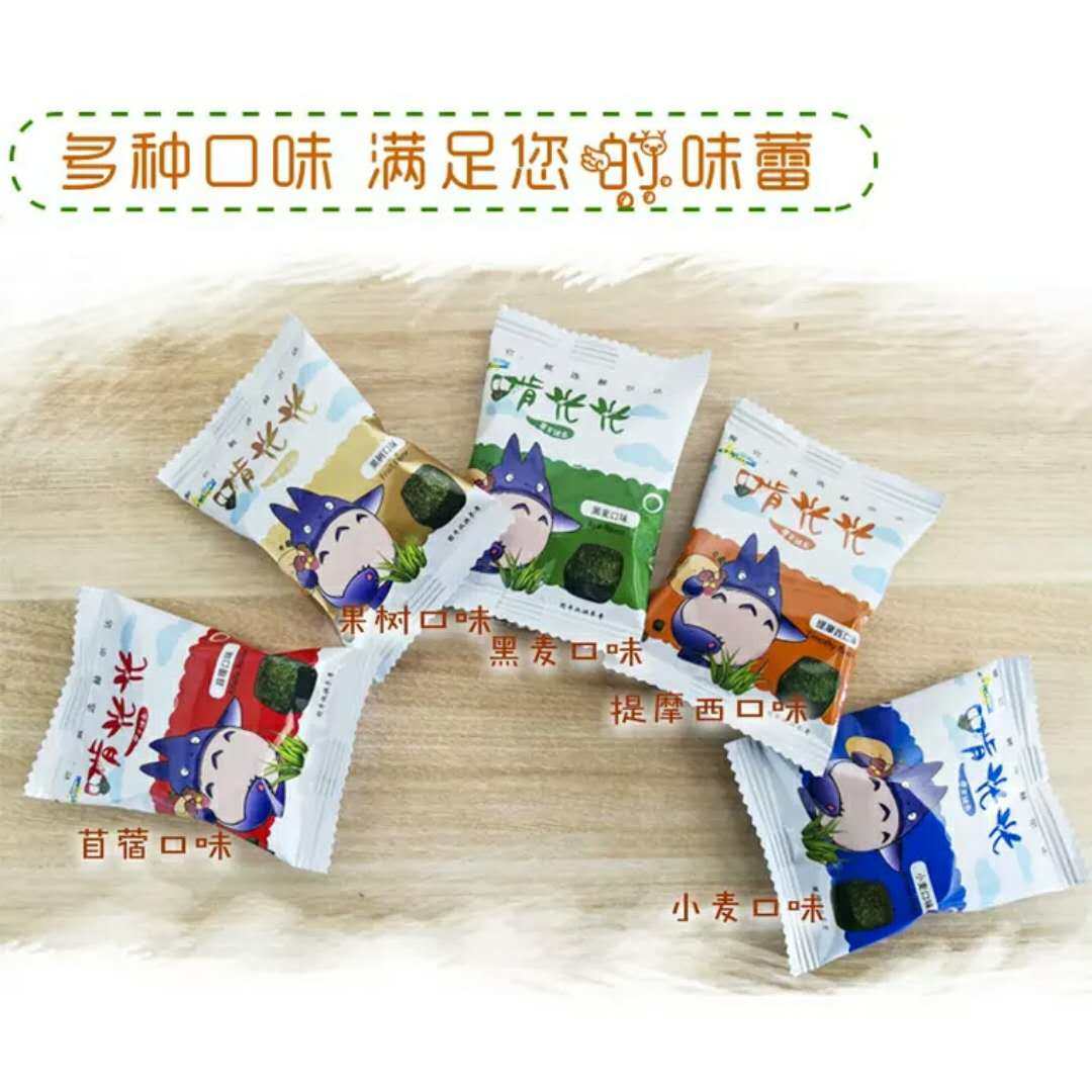 Hurda Harden Rabbit Dragon Cat Dutch pig guinea pig pig geranium mill tooth brick and moxi grass grass rod