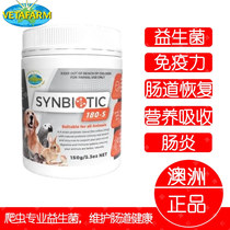 Australian Vetafarm climbing reptiles R genus Giant Patron Secara ciliary BAO WEN Blue tongue Lion Probiotics