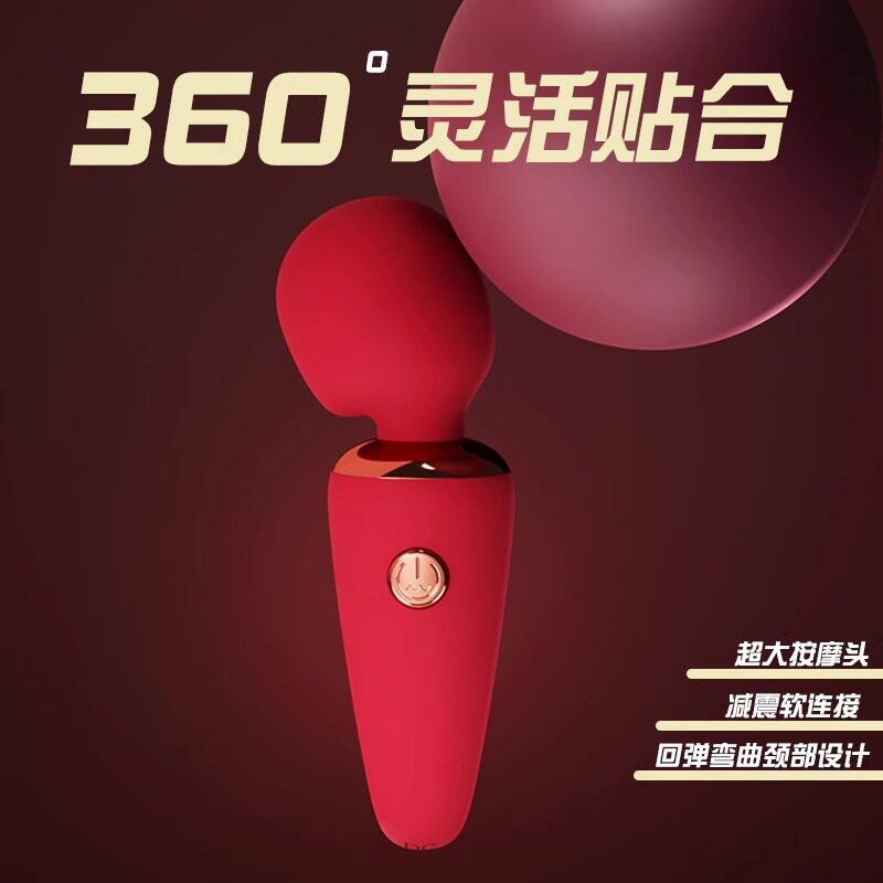 Galaku Women's Vibrator detail 2