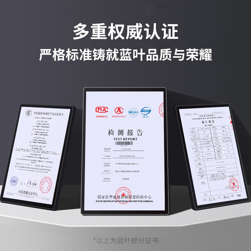 Blue Leaf Home Gigabit Ethernet Cable, Category 6A, Outdoor Computer High-Speed Broadband Cable, Category 5E, Pre-Assembled Network Cable with Connector