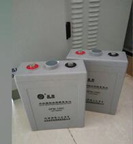 Shandong Shengyang battery 2V100AH GFM-100C maintenance-free 2V series Shengyang UPS maintenance-free battery