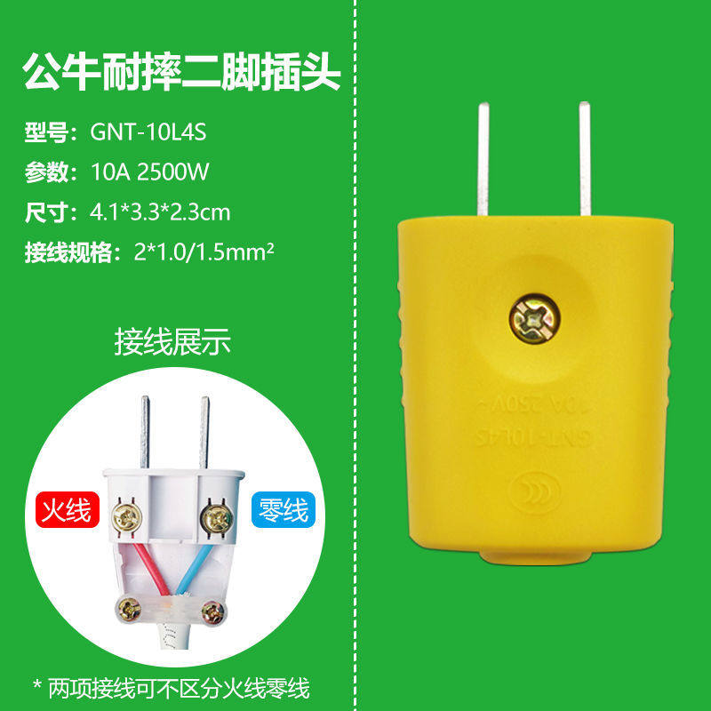 5 bulls 10A electric plug two head two feet wiring fall two holes two angles power supply 2 foot pole 10L4S