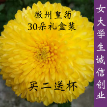 Small chrysanthemum tea a cup of Wuyuan Huangju Huizhou Huangju Super Hydrangea Chrysanthemum Wolfberry Yellow Chrysanthemum Tea Gift Box