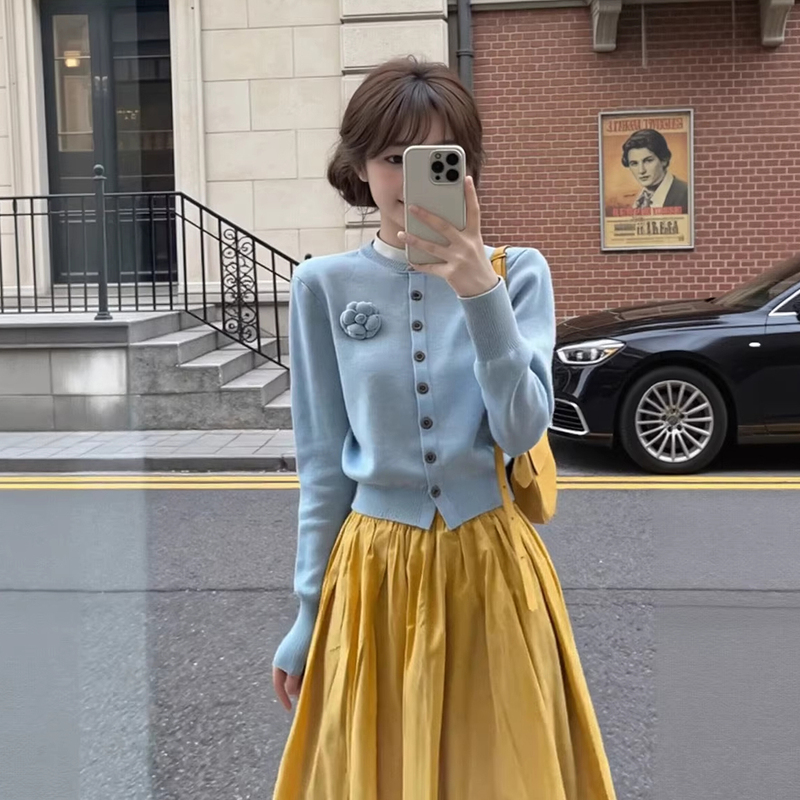 Blue Cardigan Knitwear Jacket for Women, Spring and Autumn 2026 New Short Sweater Outerwear, Early Spring Korean Style Outfit