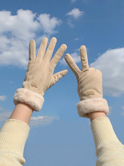 Women's gloves 2025 new winter thickened and warm riding electric car driving windproof and cold plush adult advanced