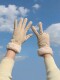 Women's gloves 2025 new winter thickened and warm riding electric car driving windproof and cold plush adult advanced