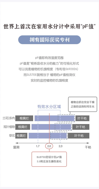 Huaxin sustee phong lan máy đo độ ẩm lọ hoa nhiệt độ và độ ẩm đất đo độ ẩm máy dò cảm biến đất