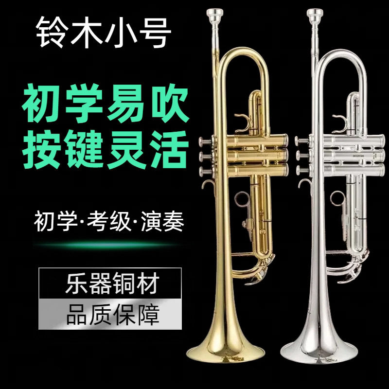 Suzuki Small Number of B Tuning Instruments Students Examination Class 8335 Professional Beginner Band GS Beginner Playing-Taobao