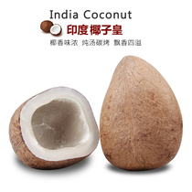 Indian coconut emperor fresh natural sea coconut emperor coconut green king stew soup dessert coconut emperor contains 30 catties in box