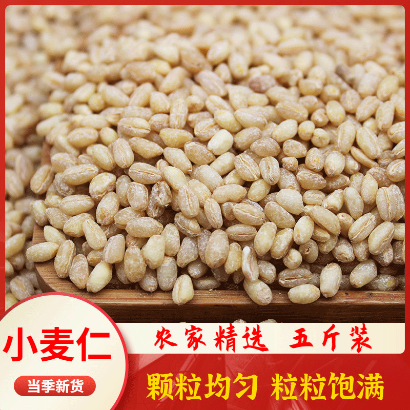 New Wheat Kernel 5 Jin Farmhouse Homemade Wheat Kernel Peeled Wheat Rice Mixed Grain Boiled Porridge Steamed Rice Cereal 