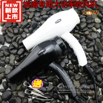 xp-2 hair dryer negative ion hair care hairdresser special styling hair dryer silent hair salon Korean fan