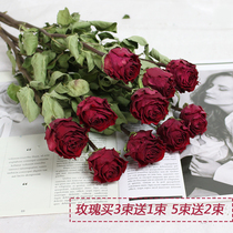 Decoration Rose Dry Flowers Single Natural Flowers Air Dry Retro Home Shop Guest House Soft Fit Chen Set Shooting Props