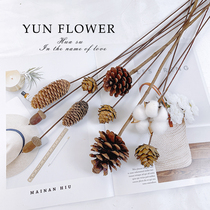 Original Ecological Lotus Fluffy Dried Flowers Pine Nuts Dry Branches Zen brief home furnishing floor Decorative Living Room Chinese Flower Arrangement