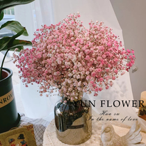 Full Star evergreen flower net red dry bouquet natural real flower stall Diy floral material Home decoration Furnishing flower arrangement