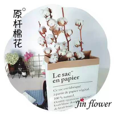 Natural original Rod cotton dry flower real flower non-handmade cotton imported kapok eternal flower simple flower arrangement decoration gift