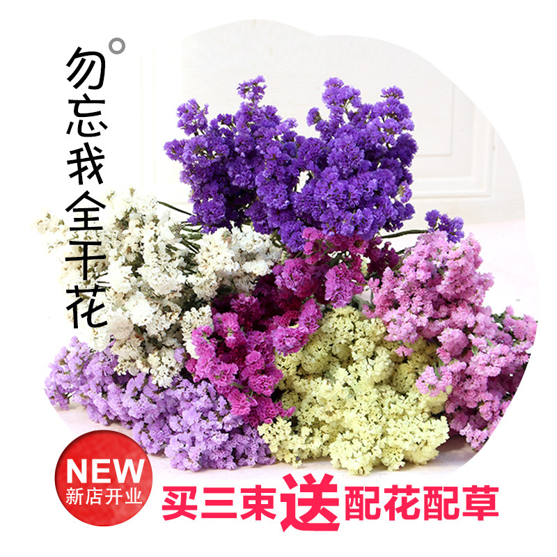 Yunnan base Don't forget I dry flowers natural flowers natural flowers Dried Primary Colors Crystal Flower Lover Grass Full of Star Decorative Dried Flowers