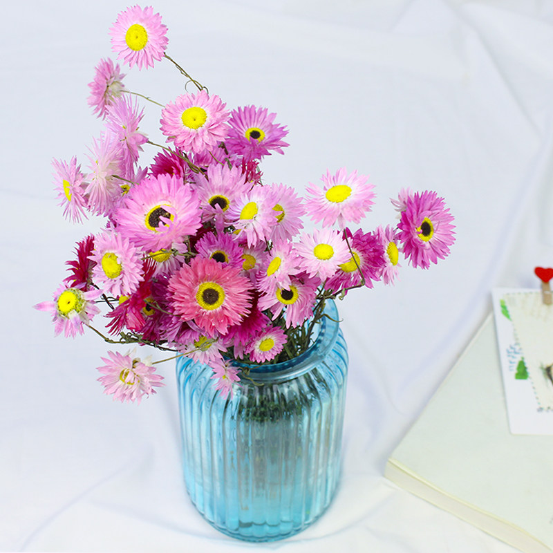 Rhodanse Evergreen Flowers Small Wax Chamomile Import High-end Floral Materials Nordic Ins Flower Arrangement Diy Material Dry Flower Pendulum Piece Shooting