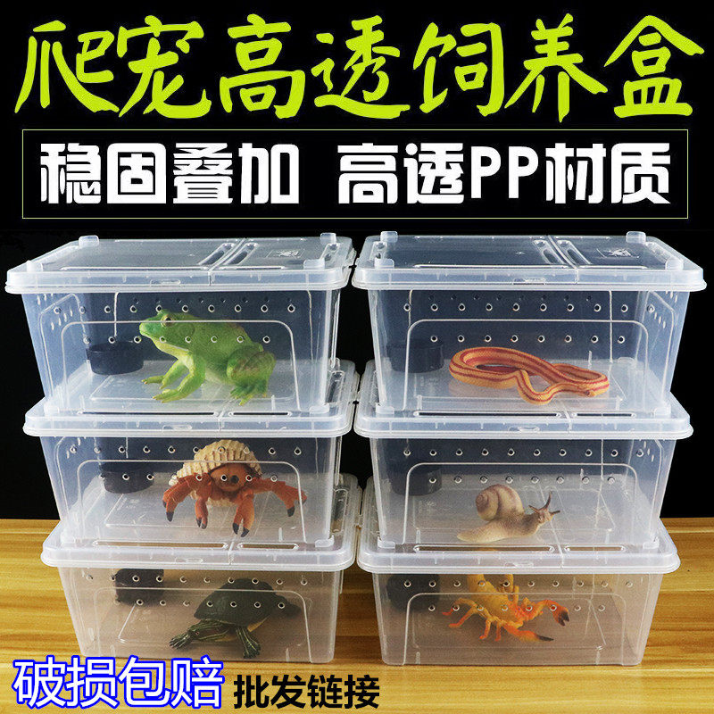 [USD 5.93] Scum box crawling pet box guarding palace lizard spider ...