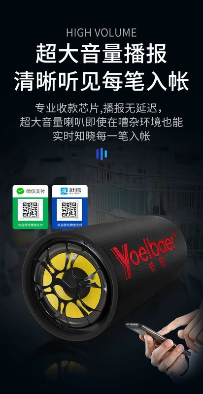 Loa siêu trầm ô tô 12v24v loa siêu trầm ô tô sửa đổi loa đặc biệt công suất cao không dây Bluetooth âm thanh xe hơi âm thanh xe hơi