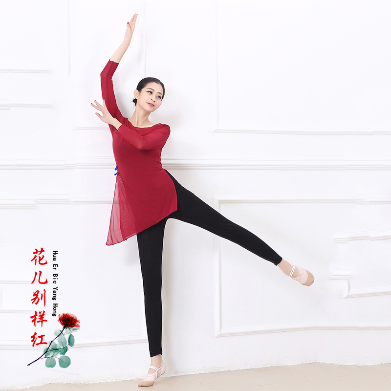 2019 Classical dance costume Adult female gymnastics suit National modern dance practice suit Slim body training suit