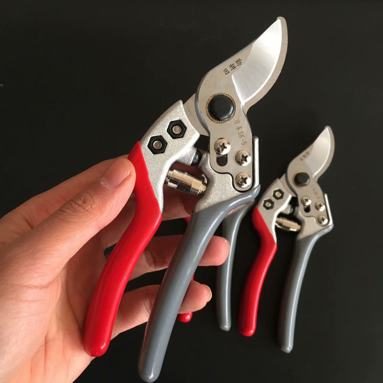 Diligent ploughing field Japan imported SK5 horticultural scissors home labor-saving type pruning pruning shears farmers strong fruit branch scissors