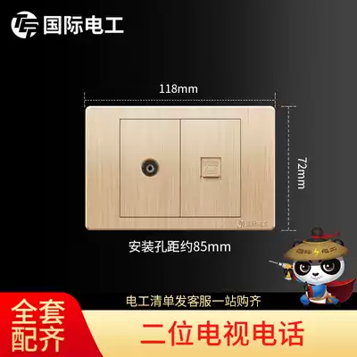 Type 118 switch socket panel wall power TEP gold two position TV with telephone socket plus closed circuit plug