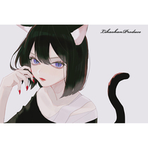 Shunfeng shipping postal price special link shall not use coupons to contact customer service remarks after placing orders