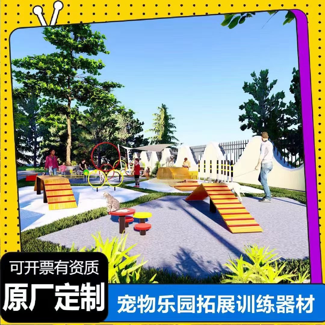 2025年宠物训练新趋势:戴更基如何有效进行宠物行为训练?