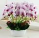 Trang trí trang trí mô phỏng PU Phalaenopsis chậu phụ kiện nhà phòng khách TV tủ hoa giả cây xanh trang trí hoa - Trang trí nội thất